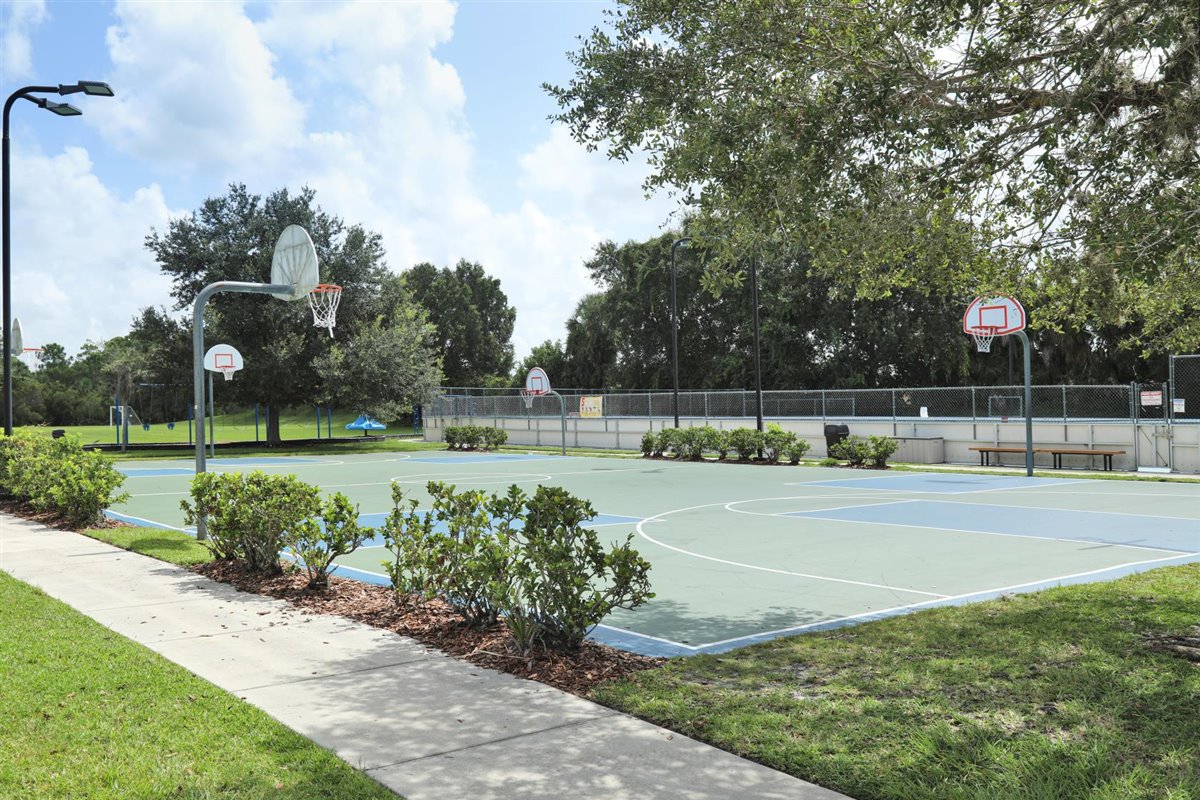 Basketball Court